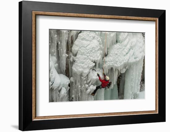 Ice Climber Ascending at Ouray Ice Park, Colorado-Howie Garber-Framed Photographic Print