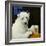 Ice-cold Bear-Will Bullas-Framed Premium Giclee Print