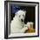 Ice-cold Bear-Will Bullas-Framed Giclee Print