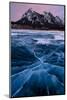 Ice cracks along Abraham Lake in Banff, Canada with purple clouds and scenic mountains-David Chang-Mounted Premium Photographic Print