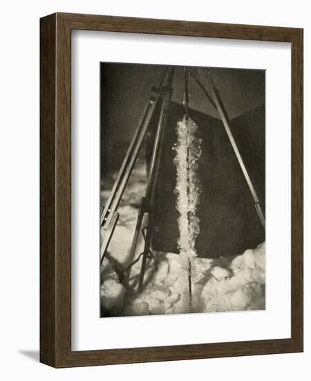 'Ice Crystals Formed on the Line of a Fish Trap', c1908, (1909)-Unknown-Framed Photographic Print