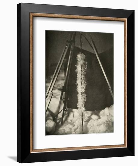 'Ice Crystals Formed on the Line of a Fish Trap', c1908, (1909)-Unknown-Framed Photographic Print