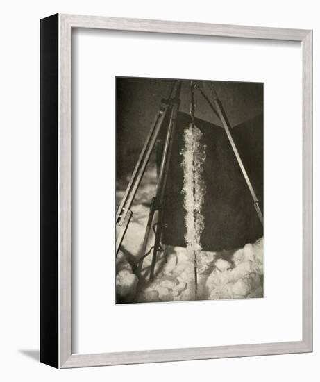 'Ice Crystals Formed on the Line of a Fish Trap', c1908, (1909)-Unknown-Framed Photographic Print