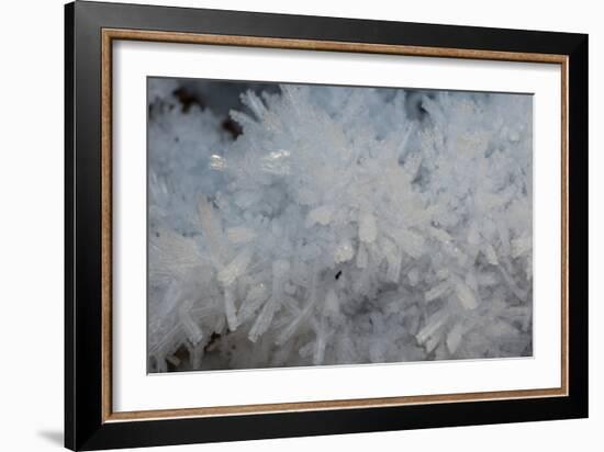 Ice Crystals II-Aaron Matheson-Framed Art Print