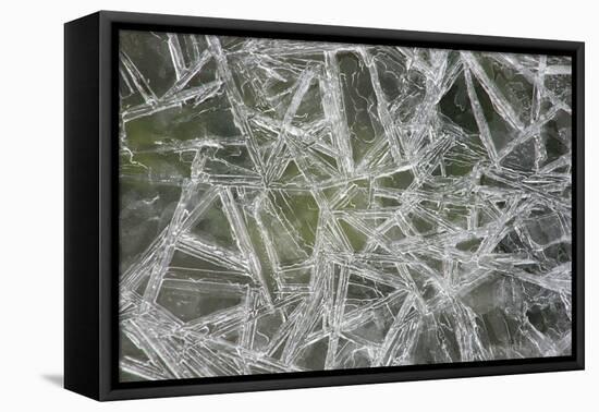 Ice Crystals on the Shore of the RŸgen Bodden, Island RŸgen-Uwe Steffens-Framed Premier Image Canvas