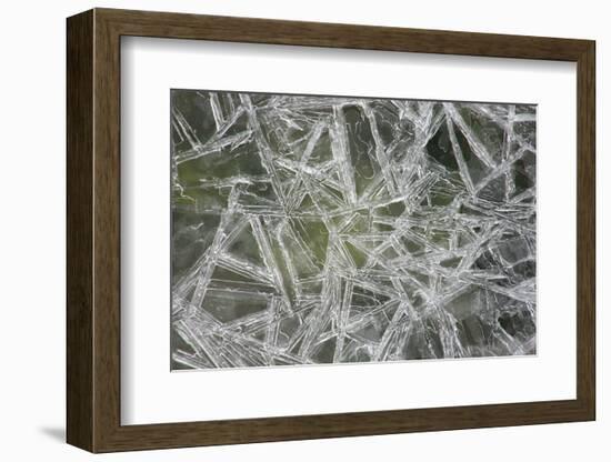 Ice Crystals on the Shore of the RŸgen Bodden, Island RŸgen-Uwe Steffens-Framed Photographic Print