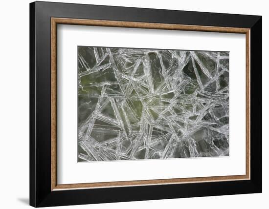 Ice Crystals on the Shore of the RŸgen Bodden, Island RŸgen-Uwe Steffens-Framed Photographic Print