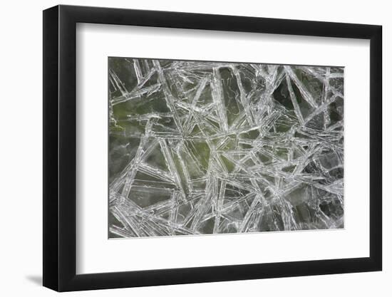 Ice Crystals on the Shore of the RŸgen Bodden, Island RŸgen-Uwe Steffens-Framed Photographic Print