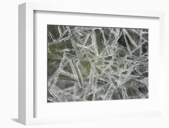 Ice Crystals on the Shore of the RŸgen Bodden, Island RŸgen-Uwe Steffens-Framed Photographic Print