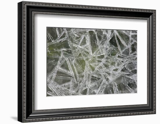 Ice Crystals on the Shore of the RŸgen Bodden, Island RŸgen-Uwe Steffens-Framed Photographic Print