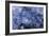 Ice Crystals-Dr. Keith Wheeler-Framed Photographic Print