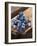 Ice Cubes with Blueberries on a Wooden Table-Chris Schäfer-Framed Photographic Print