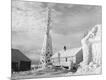 Photographic Print
