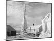 Photographic Print