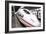 ICE Express Train-Chris Martin-Bahr-Framed Photographic Print