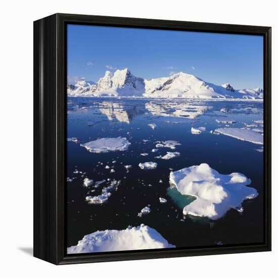 Ice Floe on the Antarctic Peninsula-Geoff Renner-Framed Premier Image Canvas