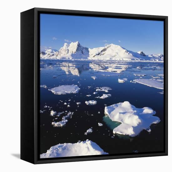 Ice Floe on the Antarctic Peninsula-Geoff Renner-Framed Premier Image Canvas