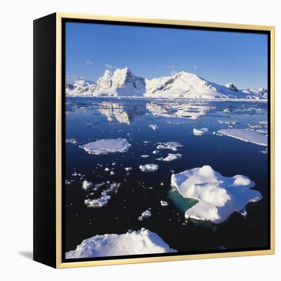 Ice Floe on the Antarctic Peninsula-Geoff Renner-Framed Premier Image Canvas