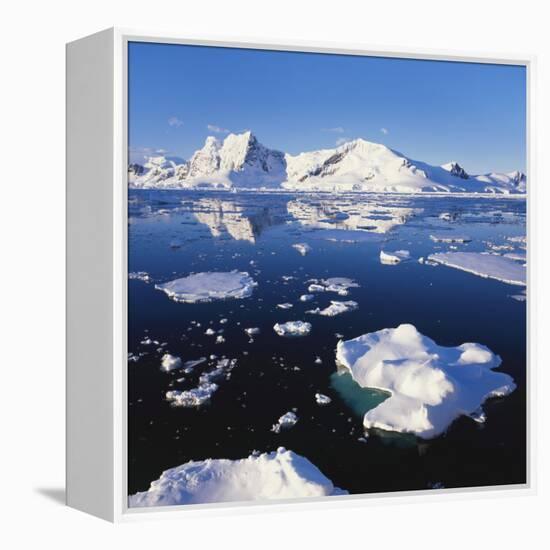 Ice Floe on the Antarctic Peninsula-Geoff Renner-Framed Premier Image Canvas