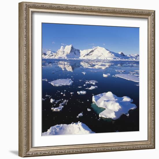 Ice Floe on the Antarctic Peninsula-Geoff Renner-Framed Photographic Print