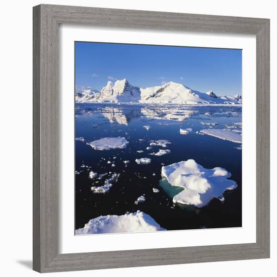 Ice Floe on the Antarctic Peninsula-Geoff Renner-Framed Photographic Print