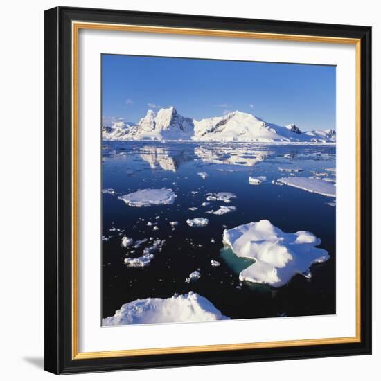 Ice Floe on the Antarctic Peninsula-Geoff Renner-Framed Photographic Print