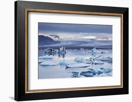 Ice floes in the lagoon at Jokulsarlon, Vatnajokull National Park-Nigel Hicks-Framed Photographic Print