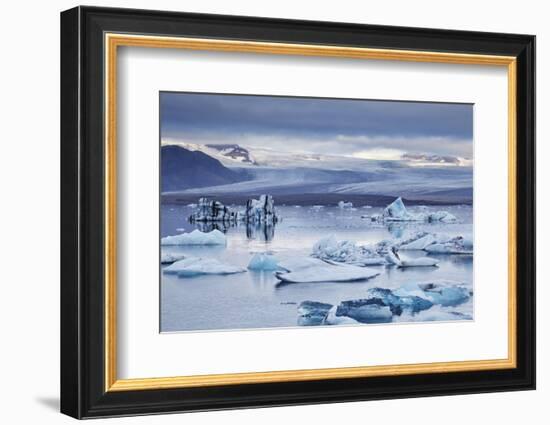 Ice floes in the lagoon at Jokulsarlon, Vatnajokull National Park-Nigel Hicks-Framed Photographic Print