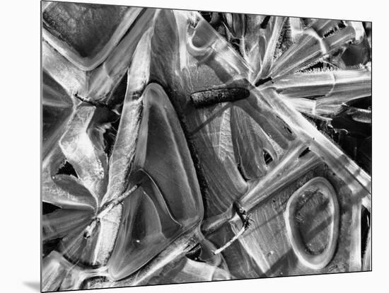 Ice Formation, 1969-Brett Weston-Mounted Premium Photographic Print