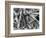 Ice Formation, 1969-Brett Weston-Framed Photographic Print