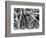 Ice Formation, 1969-Brett Weston-Framed Photographic Print