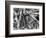 Ice Formation, 1969-Brett Weston-Framed Photographic Print