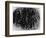 Ice Formation, Alaska, 1977-Brett Weston-Framed Photographic Print