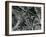 Ice Formation, c. 1970-Brett Weston-Framed Photographic Print