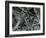 Ice Formation, c. 1970-Brett Weston-Framed Photographic Print