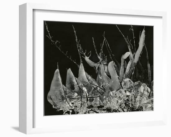 Ice Formation, California, 1949-Brett Weston-Framed Photographic Print