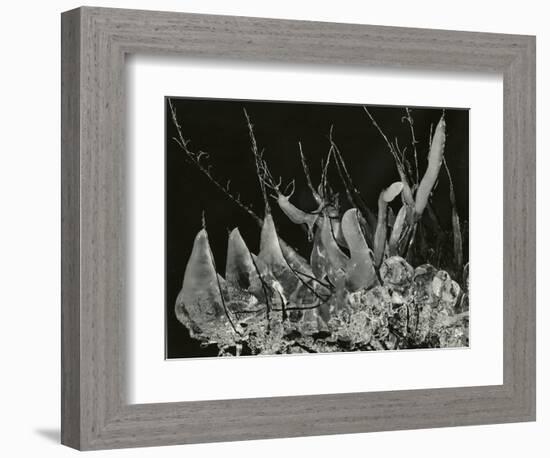 Ice Formation, California, 1949-Brett Weston-Framed Photographic Print