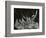 Ice Formation, California, 1949-Brett Weston-Framed Photographic Print