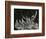 Ice Formation, California, 1949-Brett Weston-Framed Photographic Print