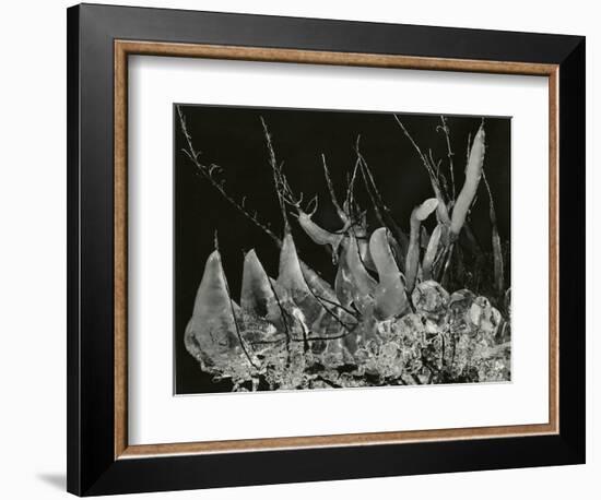 Ice Formation, California, 1949-Brett Weston-Framed Photographic Print