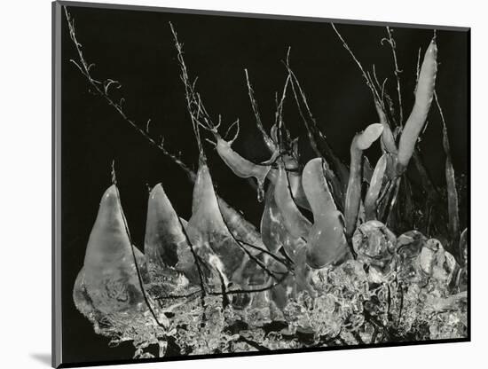 Ice Formation, California, 1949-Brett Weston-Mounted Photographic Print