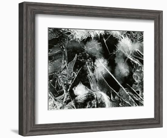 Ice Formation, Mono Lake, California, 1958-Brett Weston-Framed Photographic Print