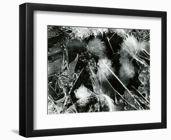 Ice Formation, Mono Lake, California, 1958-Brett Weston-Framed Photographic Print