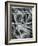 Ice Formation, Oregon, 1965-Brett Weston-Framed Photographic Print