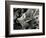 Ice Formation, Oregon, 1970-Brett Weston-Framed Photographic Print