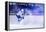 Ice Hockey Player in Action Kicking with Stick-dotshock-Framed Premier Image Canvas