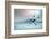 Ice Hockey Player on the Ice, Outdoor.-Andrey Yurlov-Framed Photographic Print