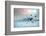 Ice Hockey Player on the Ice, Outdoor.-Andrey Yurlov-Framed Photographic Print