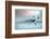 Ice Hockey Player on the Ice, Outdoor.-Andrey Yurlov-Framed Photographic Print