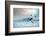 Ice Hockey Player on the Ice, Outdoor.-Andrey Yurlov-Framed Photographic Print